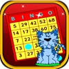 Bingo Cats Game