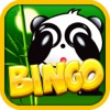 888 Play Panda Bingo Craze in Las Vegas Pro