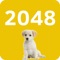 2048 with cute dogs and puppies