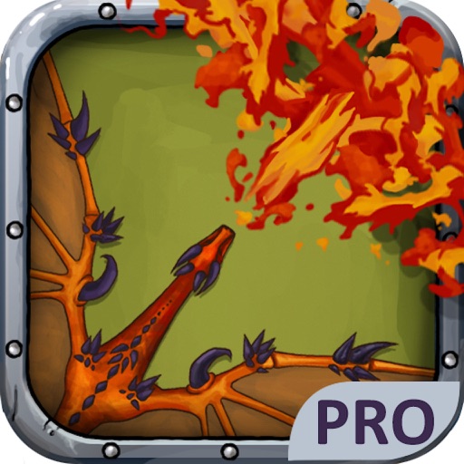 Dragon Flight Pro iOS App