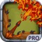 Dragon Flight Pro