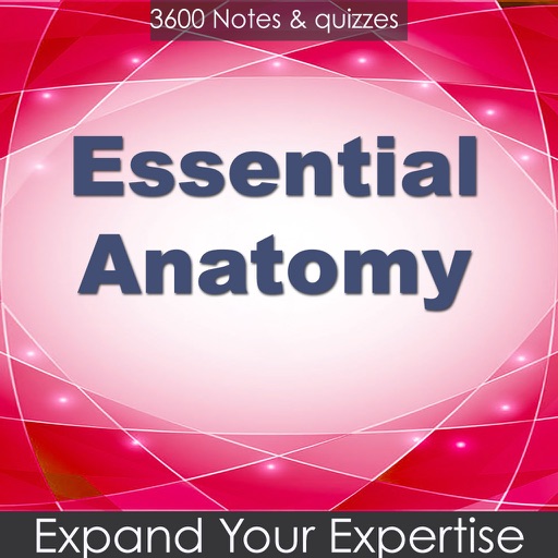 Essential Anatomy 3600 Flashcards icon