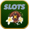 Amazing  Lucky In Vegas - Fortune Slots Casino
