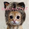 ワンちゃんと猫ちゃんの面白いクイズです