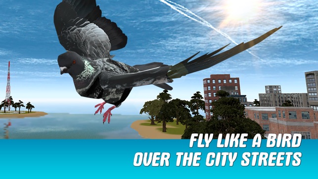 City Pigeon Simulator 3D