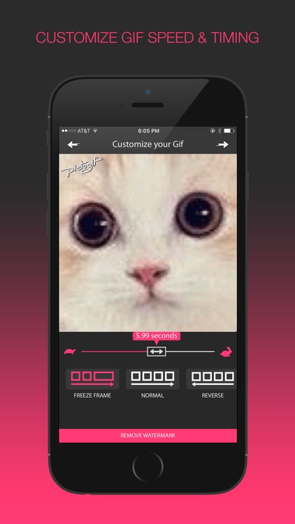 PictoGif: Gif Maker -- Give the Gift of Gif