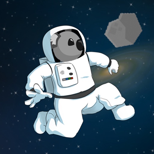 Koala in Space iOS App