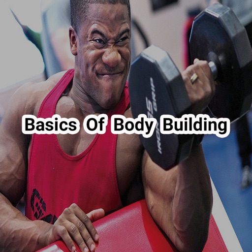 Basics Of Body Building