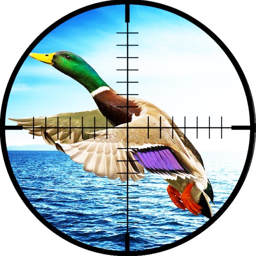 Crazy Doodle Duck Hunting Pro icon