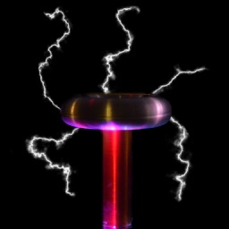 Coil by Steven Bryant