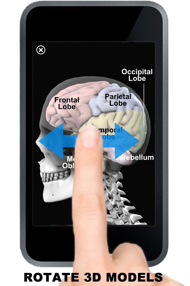 Anatomy 3D - Organs screenshot 3