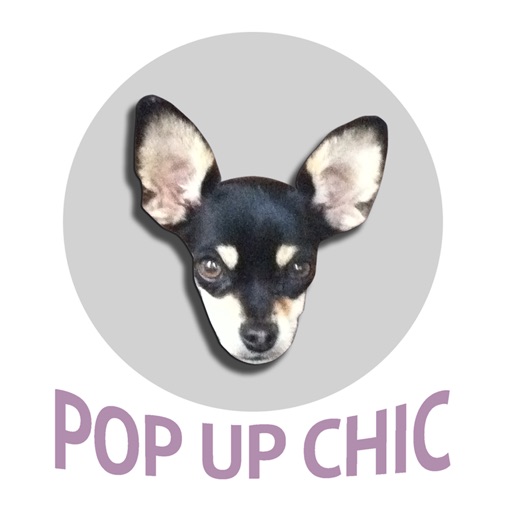 Pop Up Chic icon