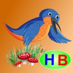 Kingfisher and woodpecker story and games for kids