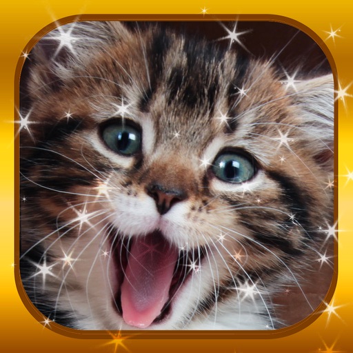 Kitten Baby Animal Game - Cute Cat Puzzles Jigsaw Icon