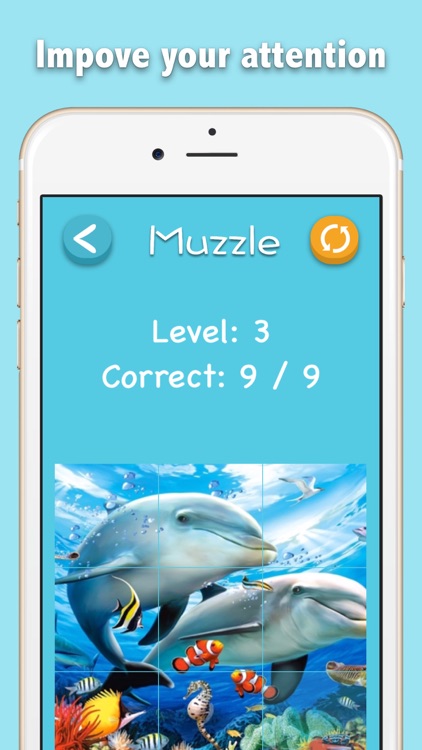 Muzzle: Images and Numbers Free Puzzle Challenge