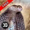 Poisonous Snake Survival Simulator 3D