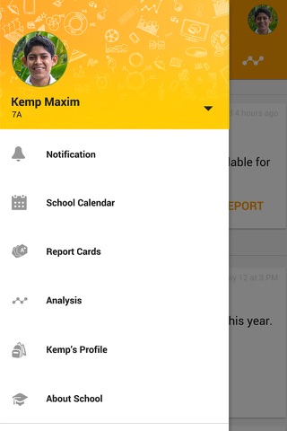 Report Bee Parent - náhled