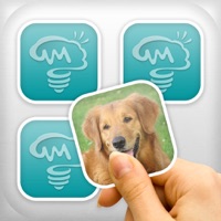 Memory cards free - Brain challenge pour PC