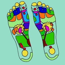 Reflexology Practitioner