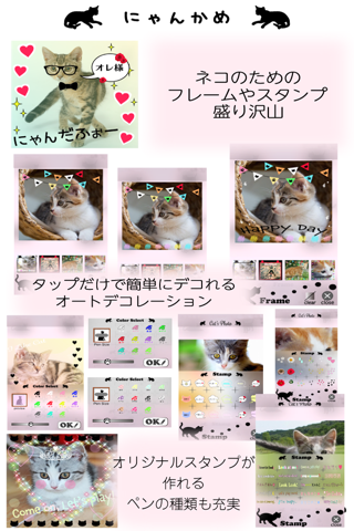 にゃんかめ Silent Camera 〜猫のためのデコアプリ〜 screenshot 3