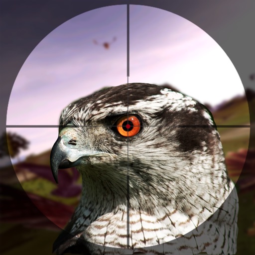 Bird Hunter 3D 2015 iOS App
