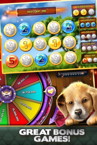 Slot Machines - Free Slot Games and Vegas Casino screenshot 4