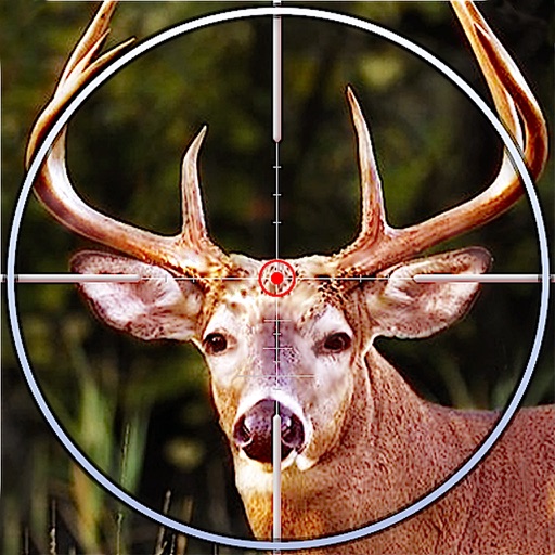 Jungle Animal Hunting Reloaded - Sniper Hunter icon