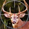 Jungle Animal Hunting Reloaded - Sniper Hunter