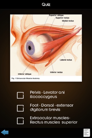 Human Muscles Guide screenshot 2