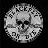 BlackFlyMusic