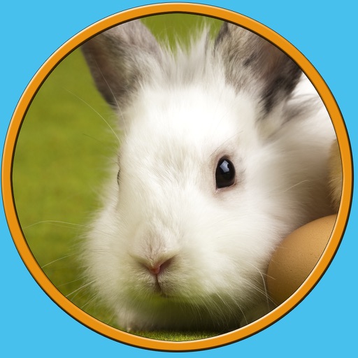 verry funny rabbits for kids - no ads icon