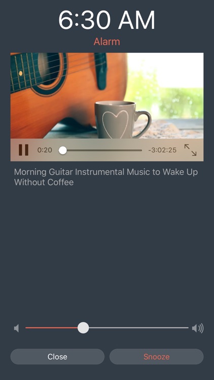 VidAlarm - Video Alarm for YouTube screenshot-3