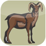 翻牌對對碰特色版-免費經典單機天天消消樂，休閑益智全民愛消除