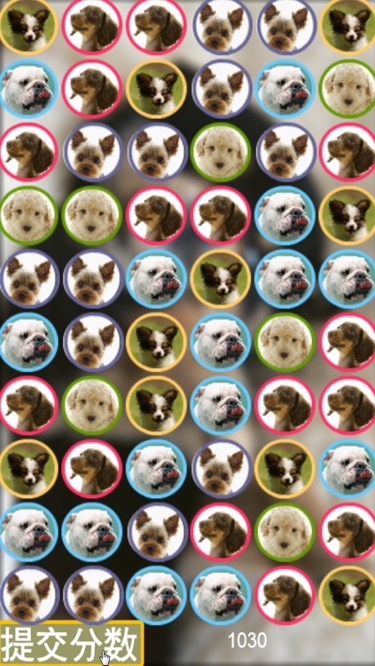 Cute Puppy Puzzle - A fun & addictive puzzle matching game screenshot-3