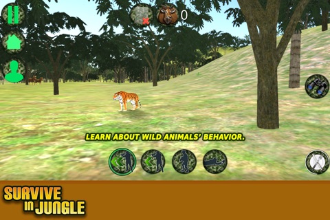 Survive in Jungle screenshot 4