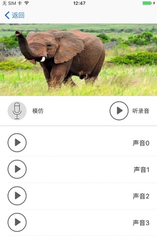 AnimalSounds-See Image and Hear sounds screenshot 2