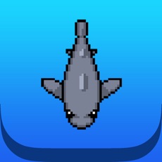 Activities of Fish Diver - Just Keep Swimming!