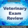 Introduction to Veterinary 1800 Flashcards