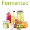 Art Fermented Foods:Essential Concepts and Processes
