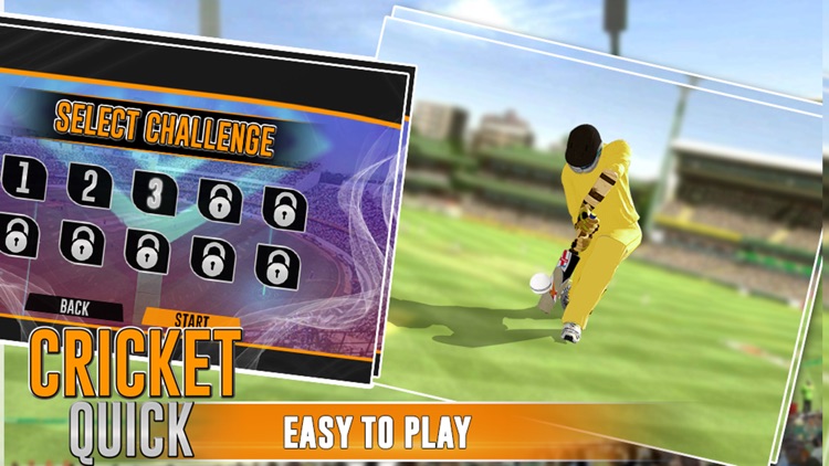 Quick Cricket 3D screenshot-3