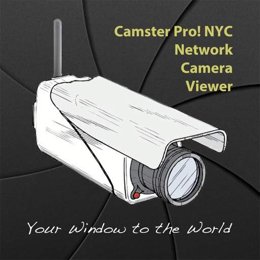 Camster Pro! New York City Lite icon