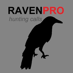 REAL Raven Hunting Calls - 7 REAL Raven CALLS & Raven Sounds! - Raven e-Caller & BLUETOOTH COMPATIBLE