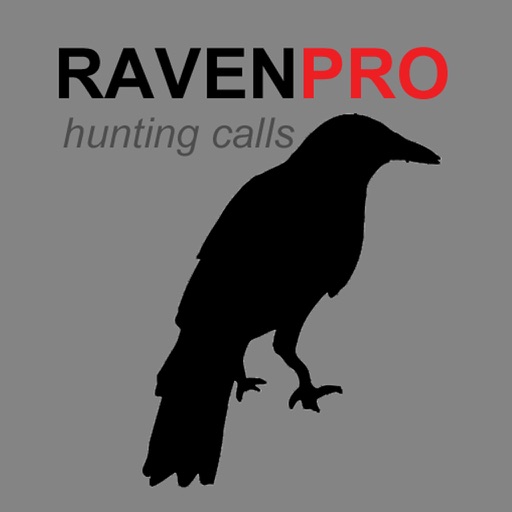 REAL Raven Hunting Calls - 7 REAL Raven CALLS & Raven Sounds! - Raven e-Caller & BLUETOOTH COMPATIBLE icon