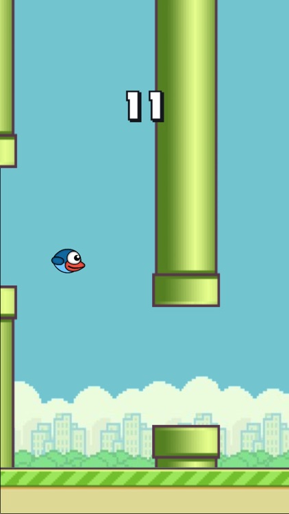 Gravity Bird! screenshot-3