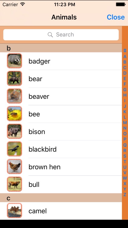 Figure Animal ABC screenshot-4