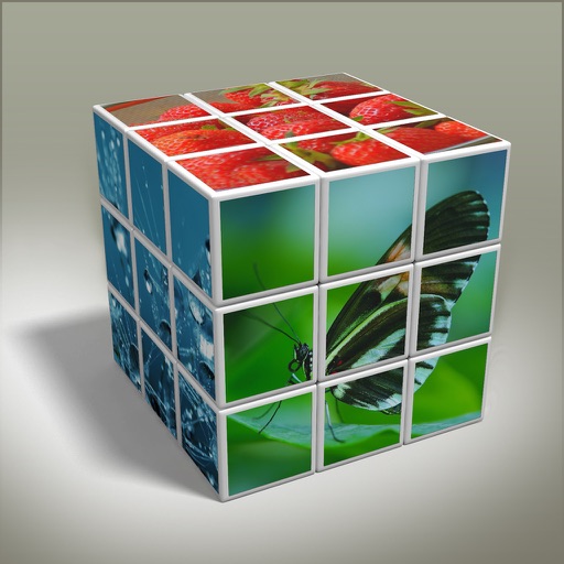 Free Brain Puzzle - Mind Games icon