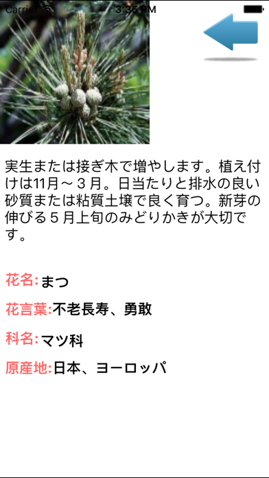 花言葉のおすすめ画像2