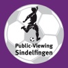 Public Viewing Sindelfingen