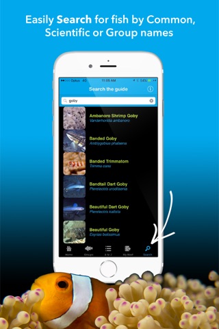 Coral Sea Fish Guide - fishes of the Great Barrier Reef, Papua New Guinea, Solomon Islands, Vanuatu, New Caledonia and beyond screenshot 4
