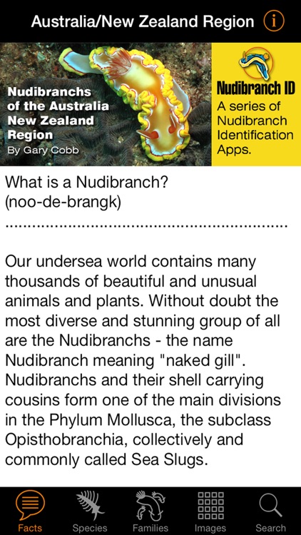 Nudibranch ID Australia NZ